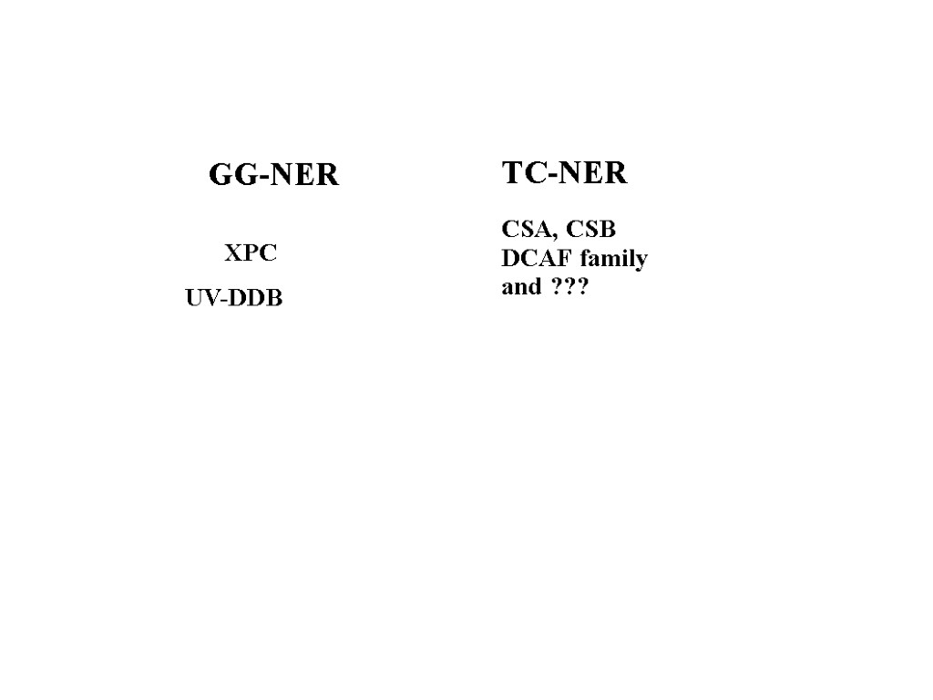 UV-DDB GG-NER XPC TC-NER CSA, CSB DCAF family and ???